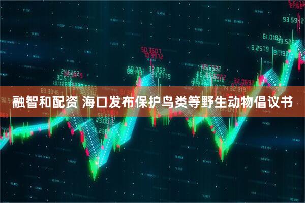 融智和配资 海口发布保护鸟类等野生动物倡议书