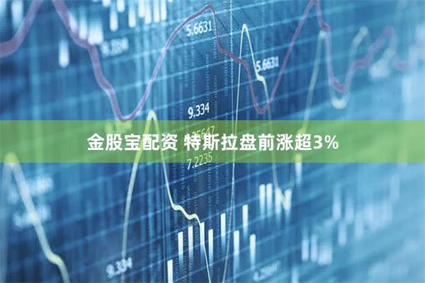 金股宝配资 特斯拉盘前涨超3%