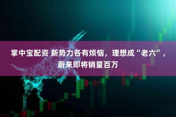 掌中宝配资 新势力各有烦恼，理想成“老六”，蔚来即将销量百万
